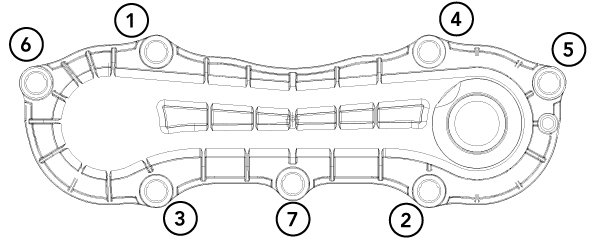 Chain 1 web