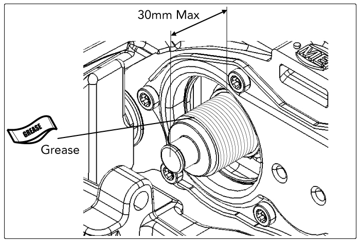 Service Tappet5